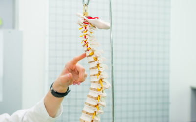 Gonstead Technique in Greensboro Offers Proven, Effective Chiropractic Care and Healing
