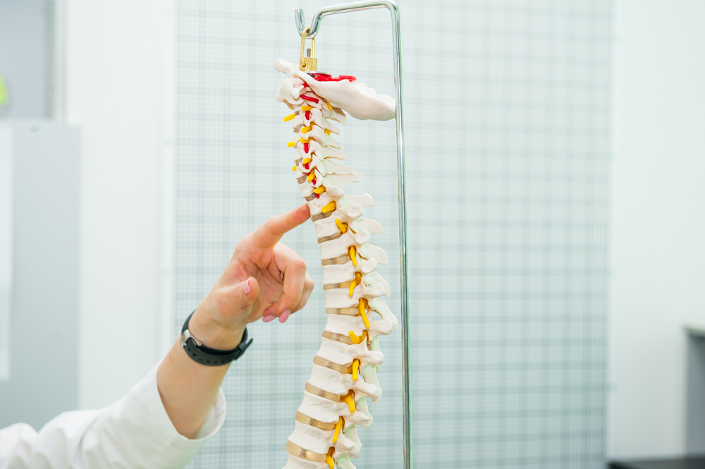 Gonstead Technique chiropractic
