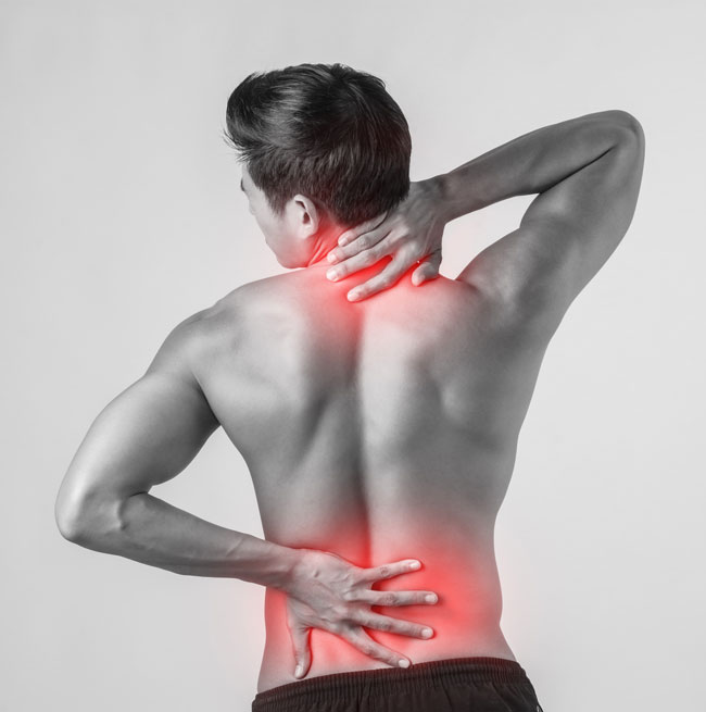 Tips for Avoiding Back Injury while Gardening from Our Greensboro Chiropractor